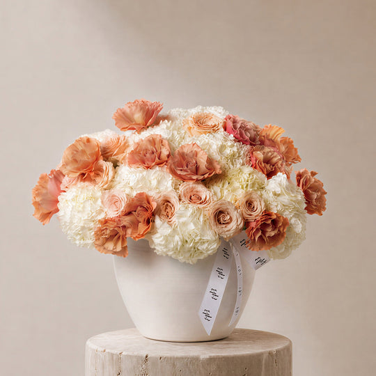 Marjan Roses in Ivory Vase - BLACK AND BLANC
