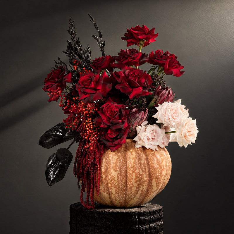 Masquerade in Pumpkin Jardiniere - BLACK & BLANC