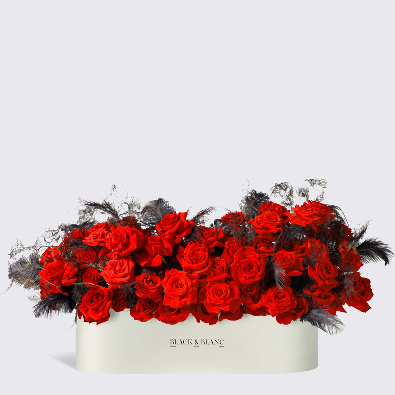 Midnight Passion in 1 Meter Box