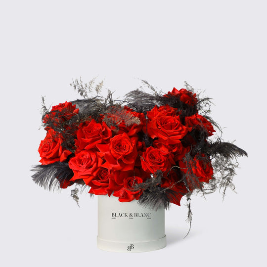 Midnight Passion in Box - BLACK AND BLANC