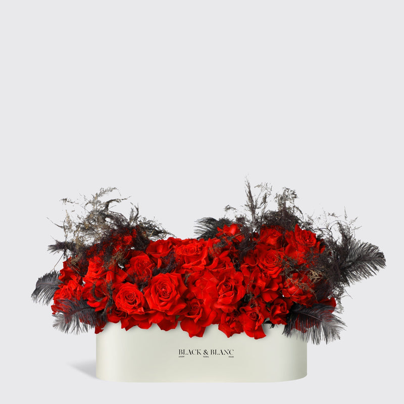 شغف منتصف الليل في علبة نصف متر