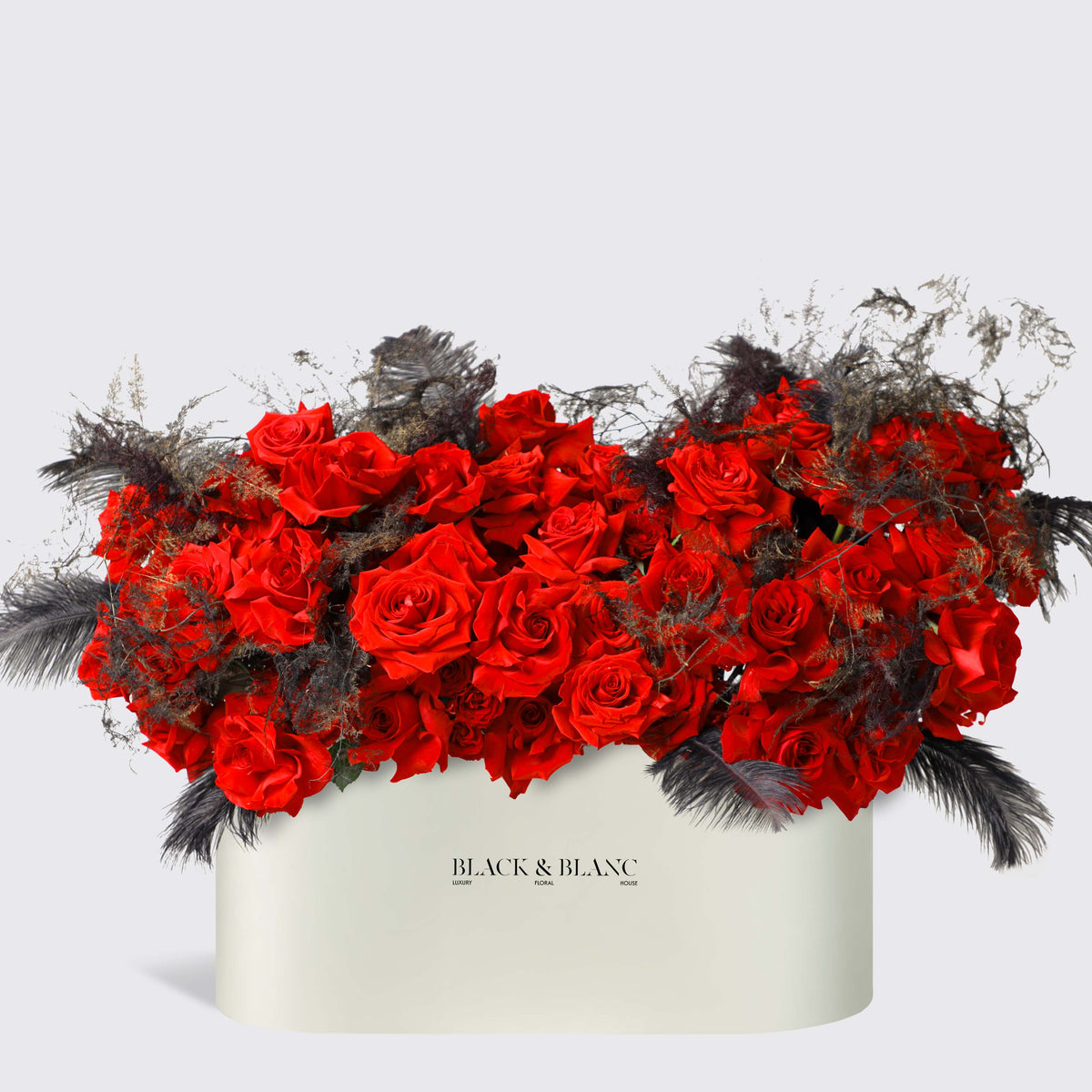 Midnight Passion in Zenith