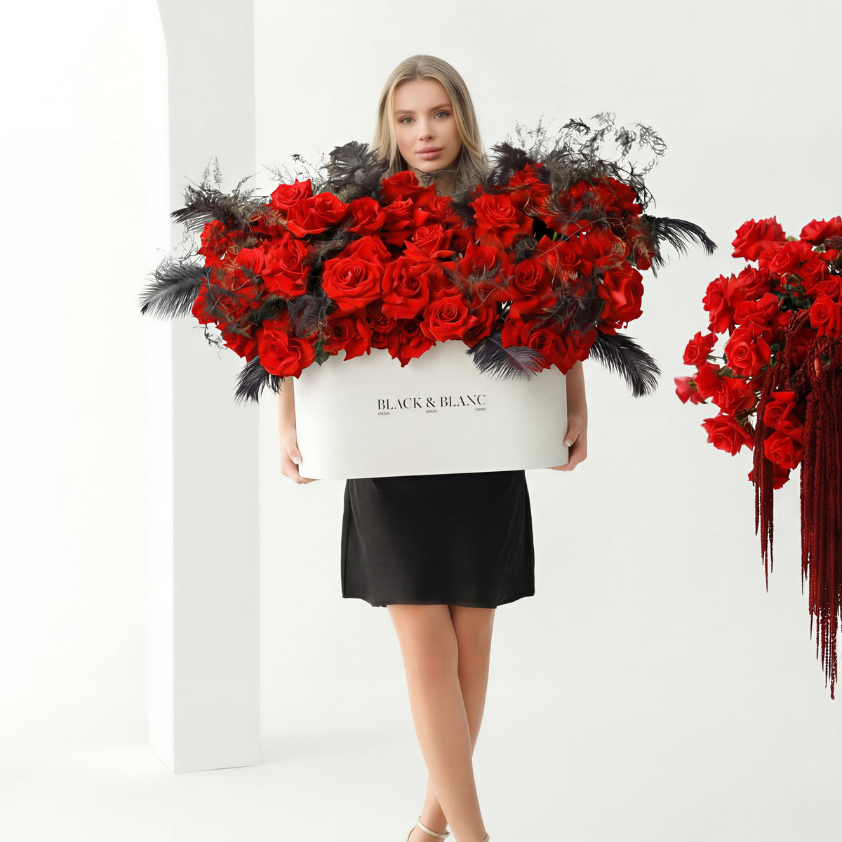 Midnight Passion in Zenith