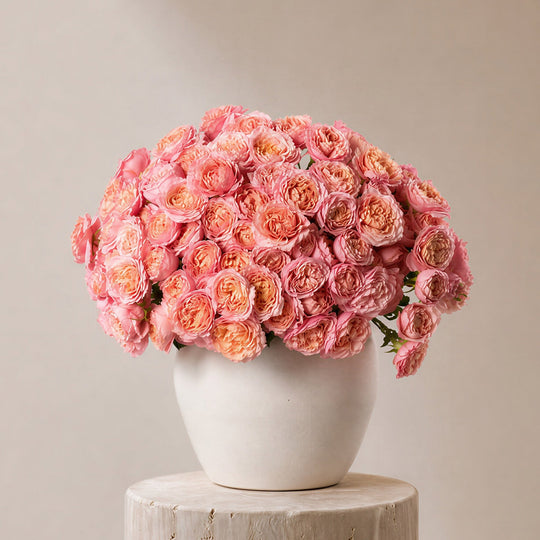 Mishmish Graden Roses in Ivory Vase - BLACK AND BLANC