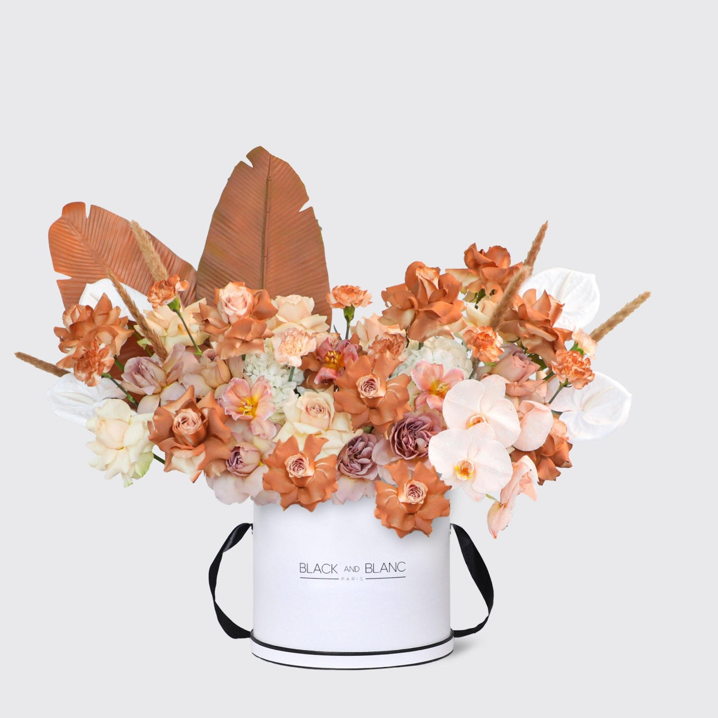 Mocha Luxe Glow in Box - BLACK AND BLANC
