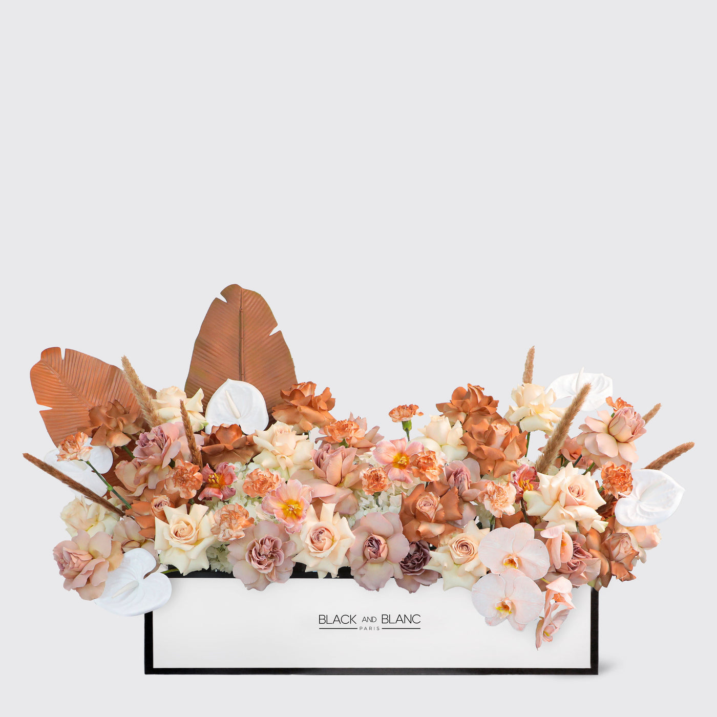 Mocha Luxe in 1 Meter - Fresh Flowers