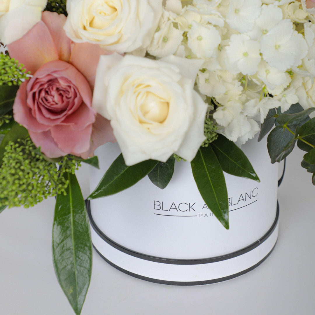 Mocha Majesty in Box - BLACK AND BLANC