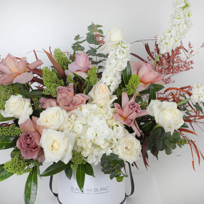 Mocha Majesty in Box - BLACK AND BLANC