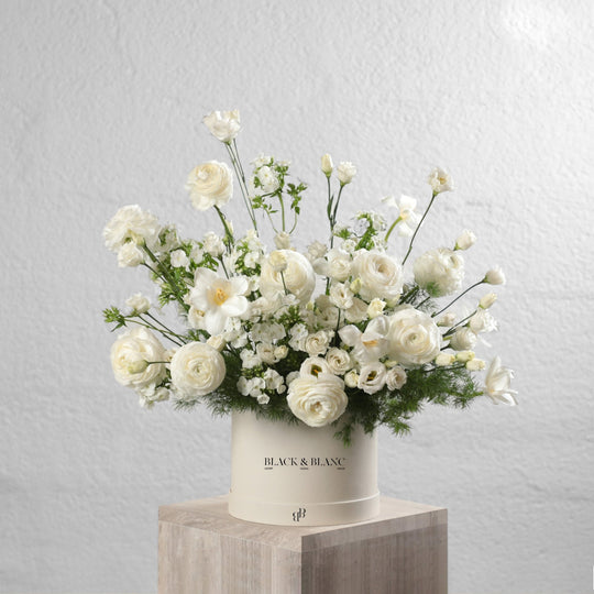 Morning Meadow in Box - BLACK AND BLANC