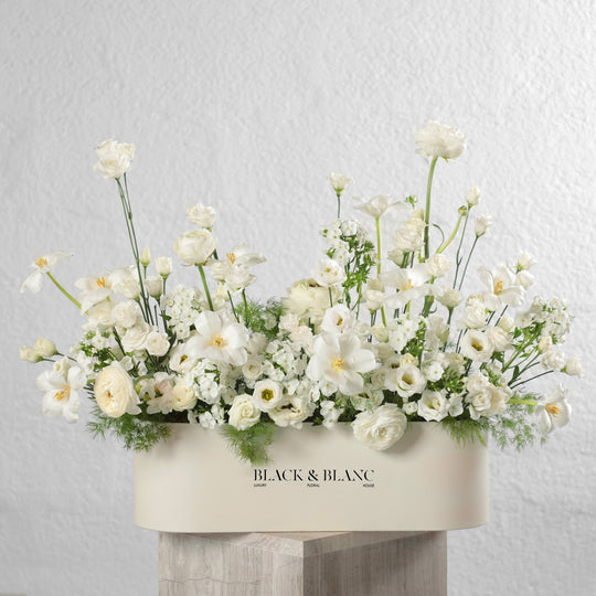 Morning Meadow in Half Meter Box - BLACK AND BLANC