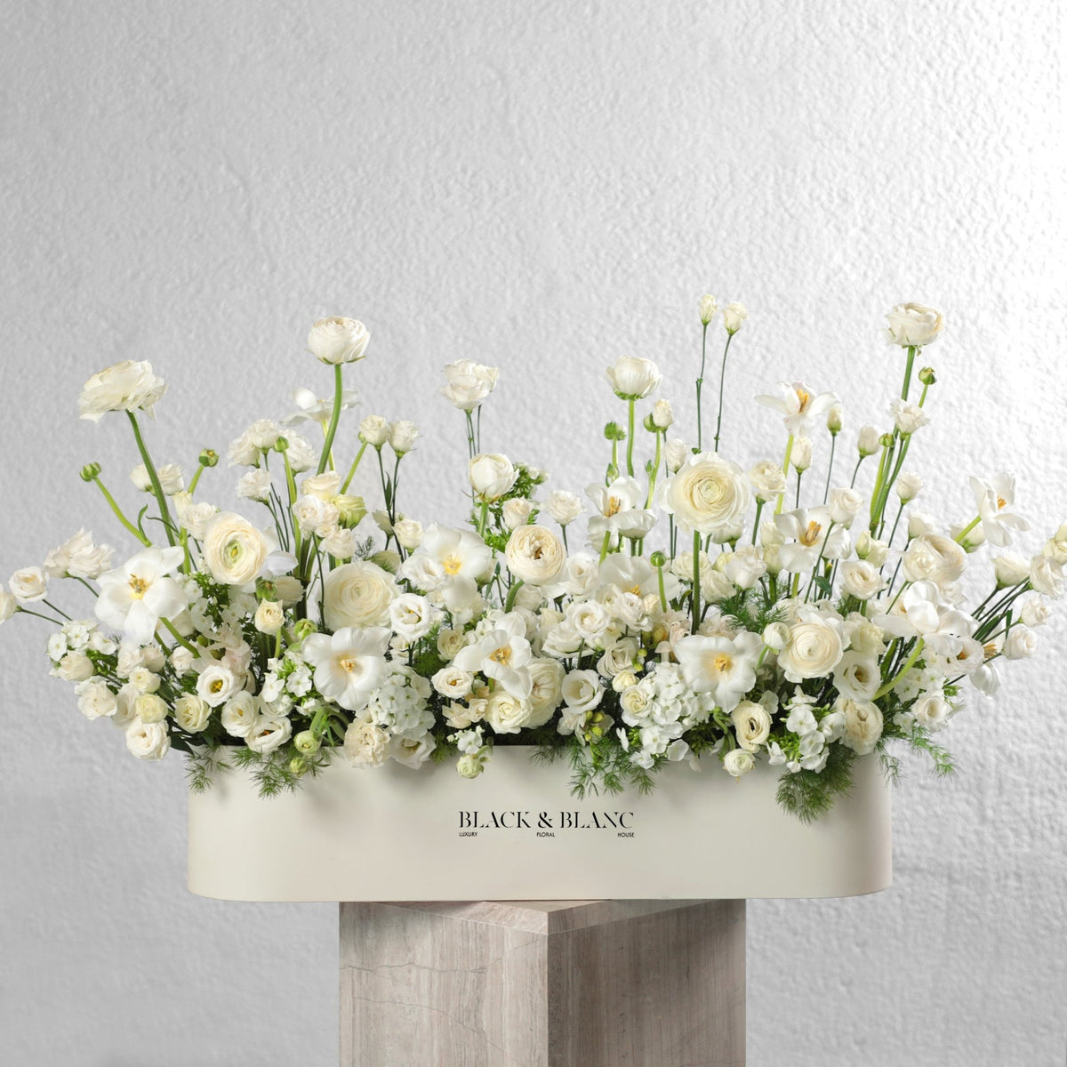 Morning Meadow in One Meter Box - BLACK AND BLANC