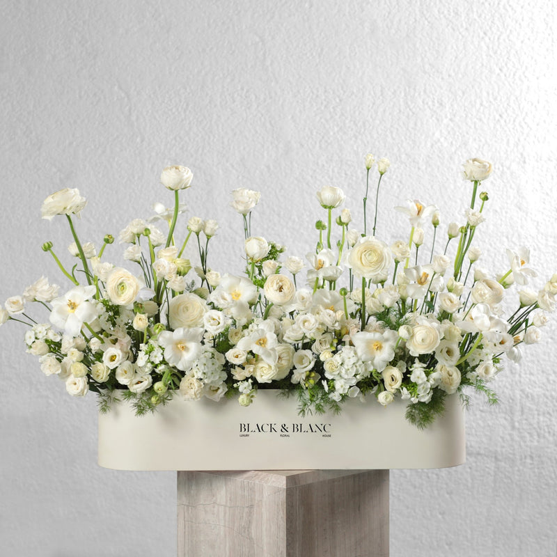Morning Meadow in One Meter Box - BLACK AND BLANC