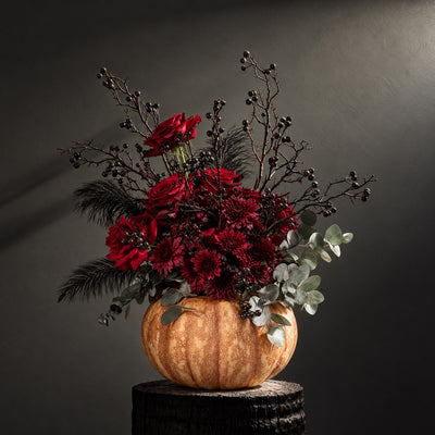 Noir in Pumpkin Jardiniere