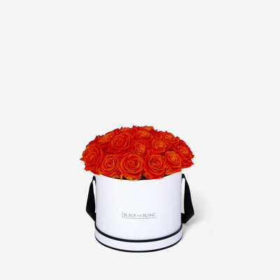 Orange BouqBox - Infinity Roses - BLACK AND BLANC