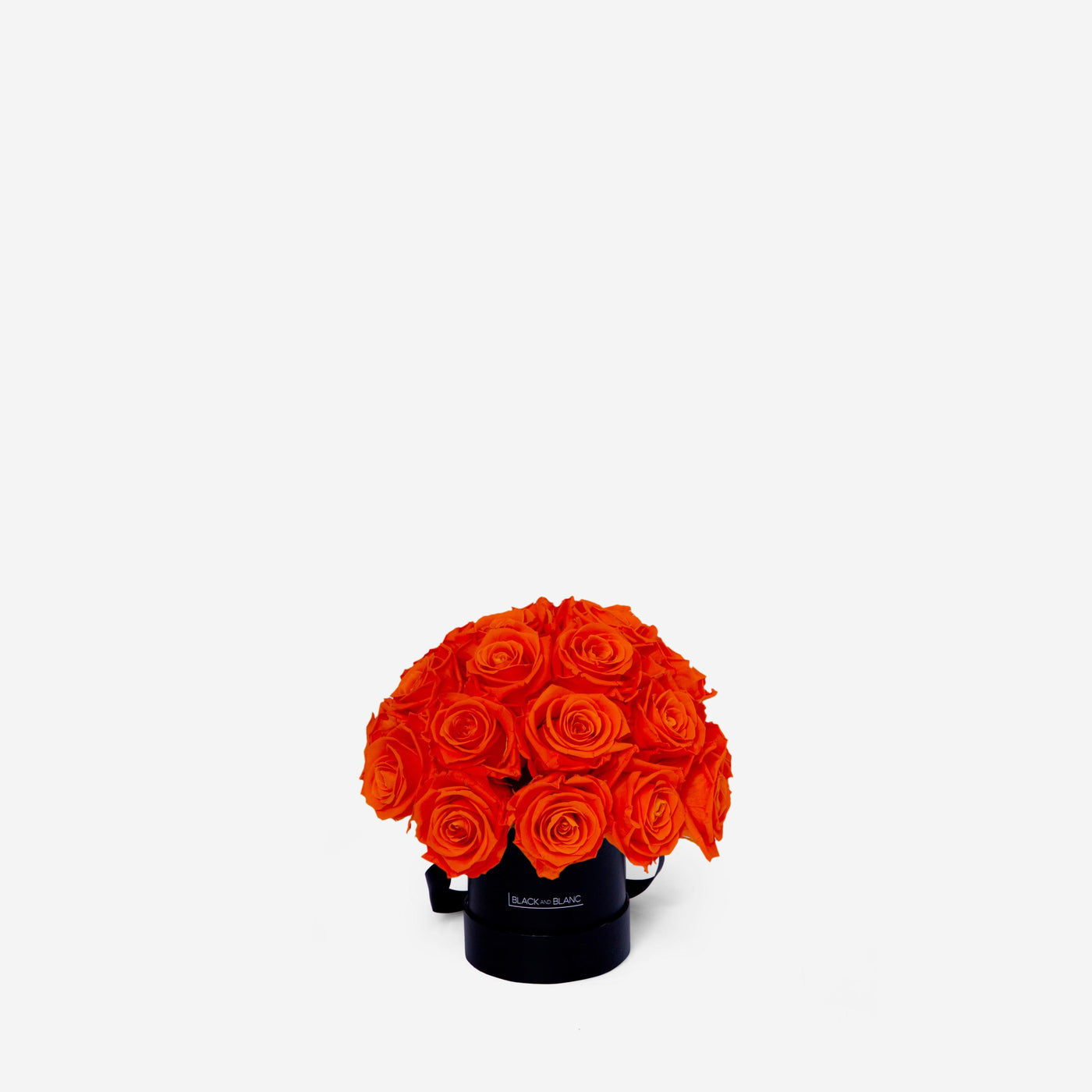 Orange Dôme Classic - Infinity Roses - BLACK AND BLANC