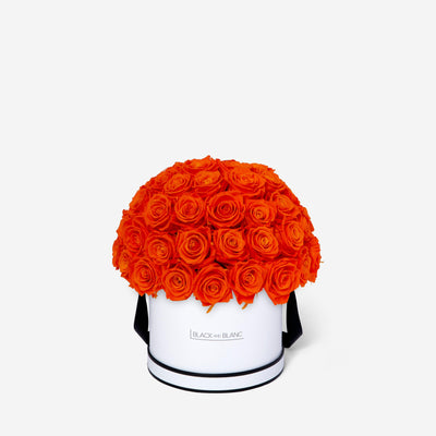 Orange Dôme Classic - Infinity Roses - BLACK AND BLANC