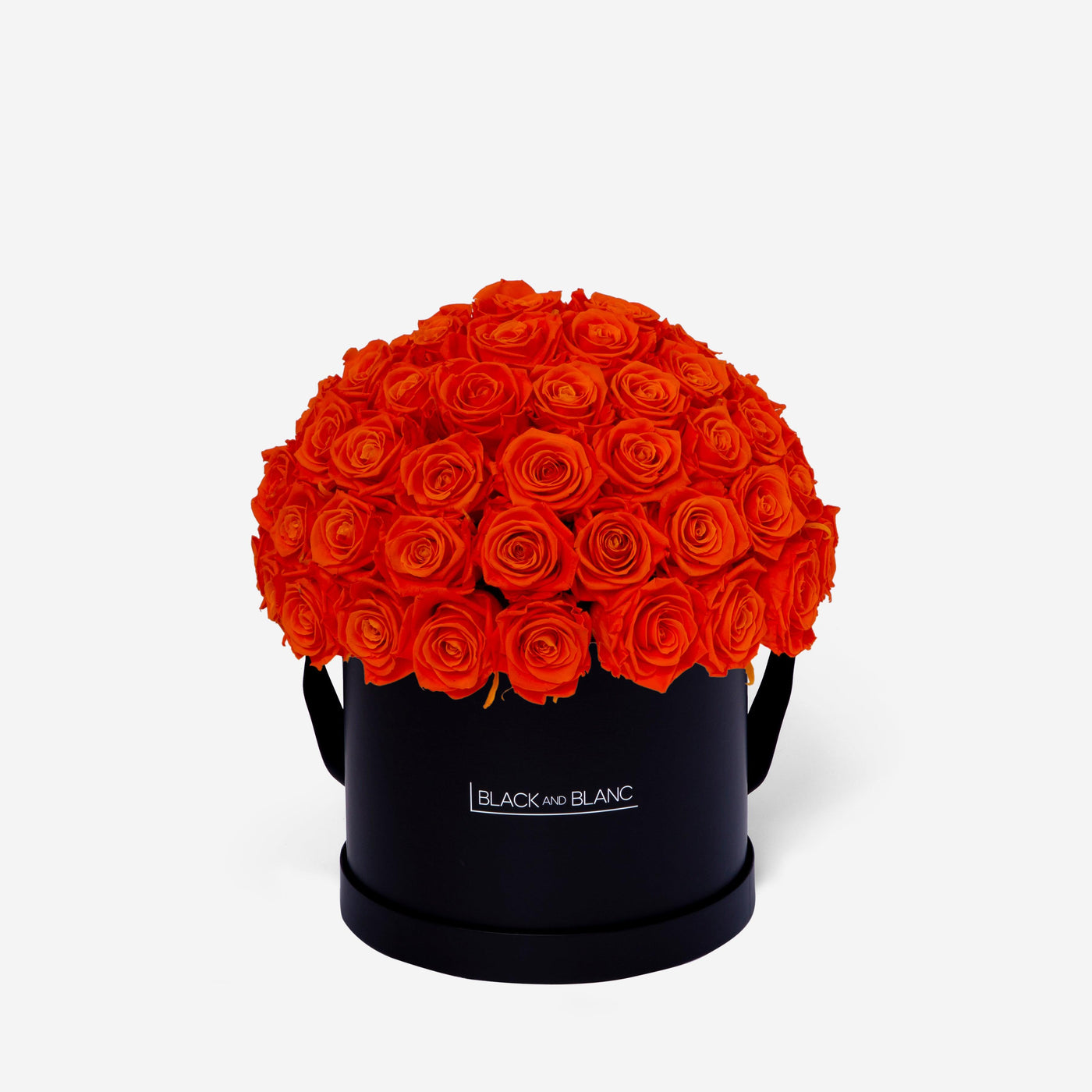 Orange Dôme Classic - Infinity Roses - BLACK AND BLANC