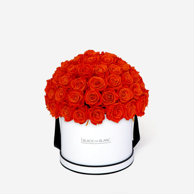 Orange Dôme Classic - Infinity Roses - BLACK AND BLANC