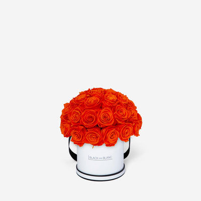 Orange Dôme Classic - Infinity Roses - BLACK AND BLANC