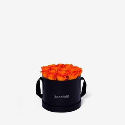 Orange Round - Infinity Roses - BLACK AND BLANC