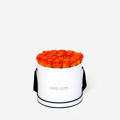 Orange Round - Infinity Roses - BLACK AND BLANC