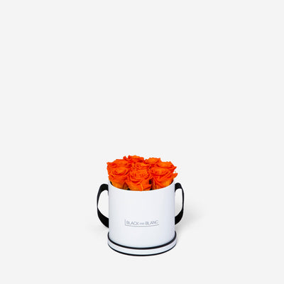 Orange Round - Infinity Roses - BLACK AND BLANC