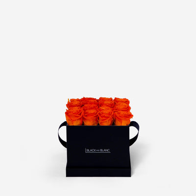 Orange Square Infinity - Infinity Roses - BLACK AND BLANC