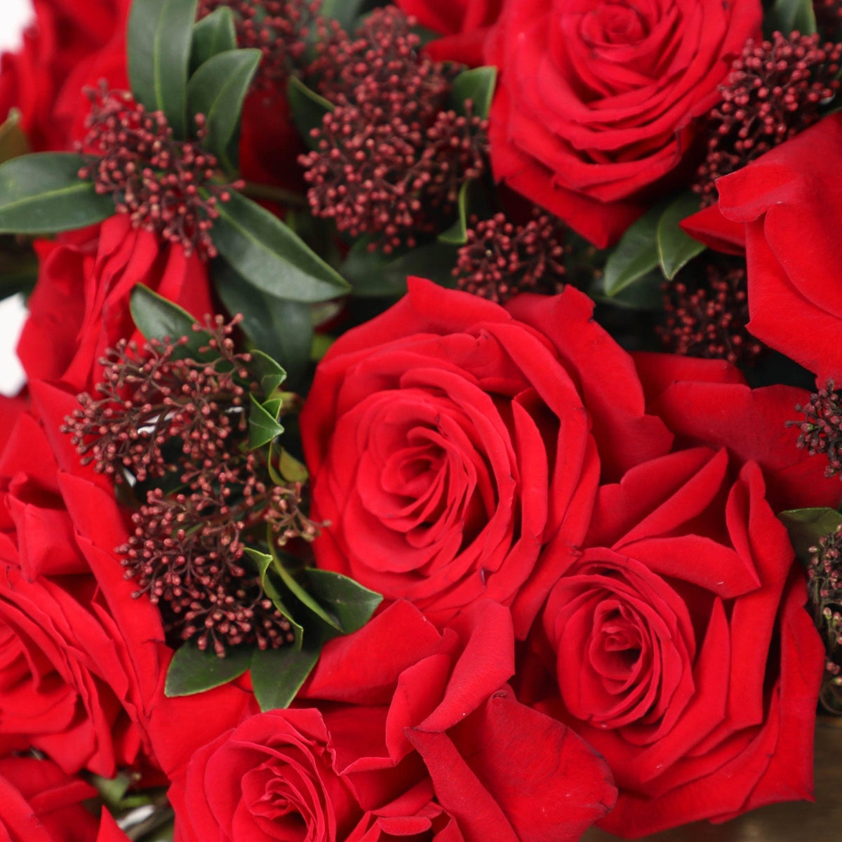 Passion Petal Pegasus in Vase - BLACK AND BLANC