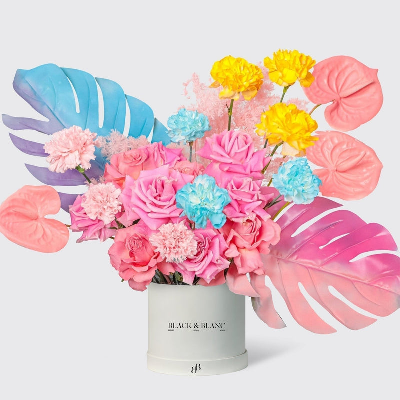Pastel Dreamscape in Box - BLACK AND BLANC