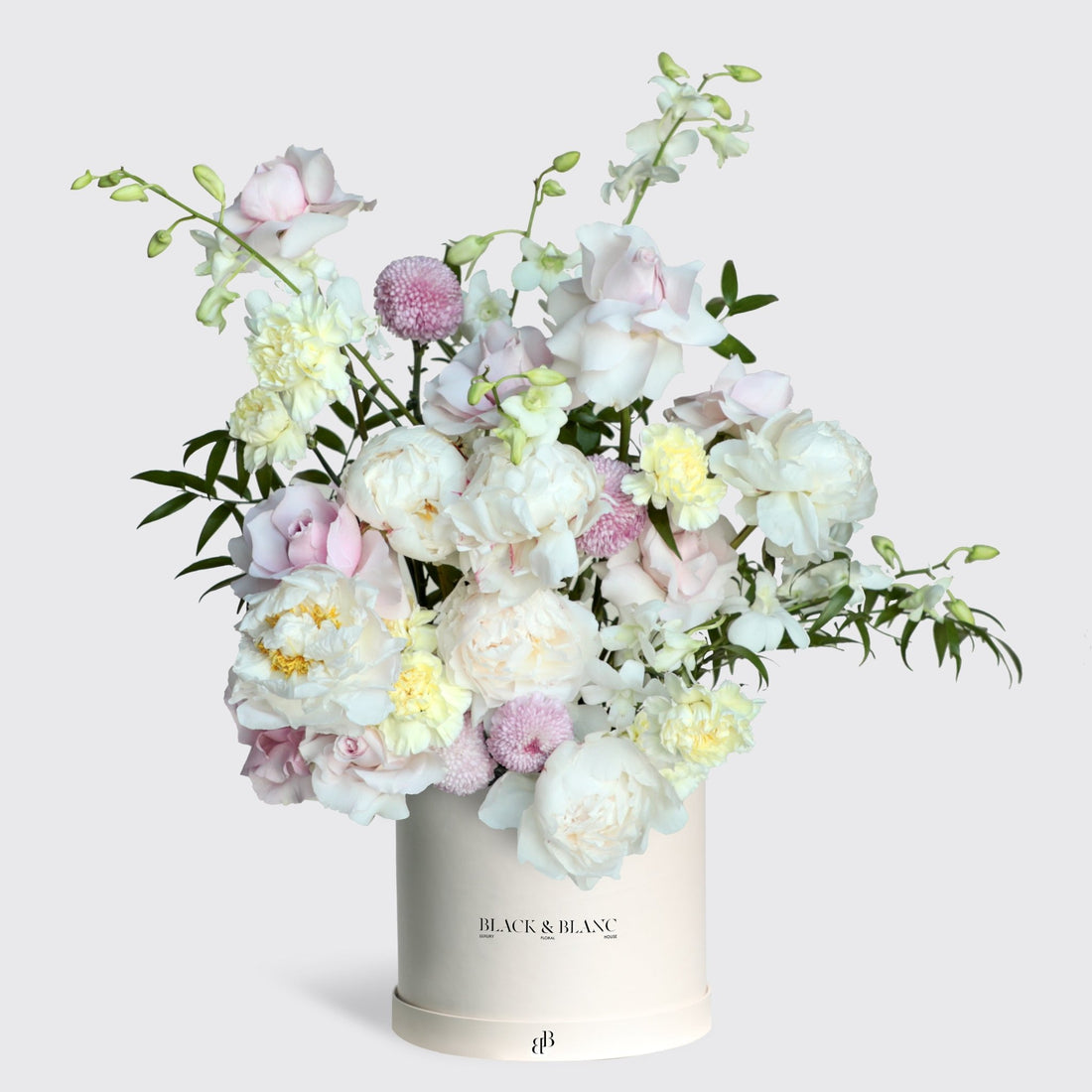 Pastel Peony in Box - BLACK AND BLANC