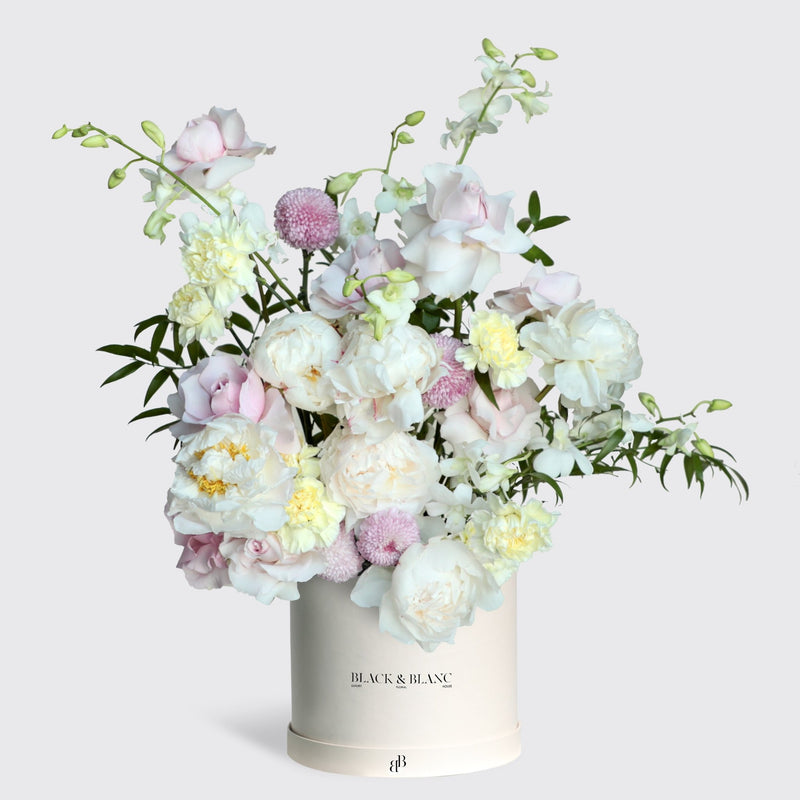 Pastel Peony in Box - BLACK AND BLANC