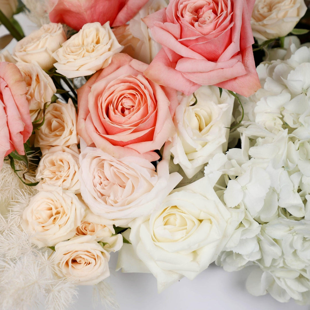 Peach Sorbet in Box - BLACK AND BLANC