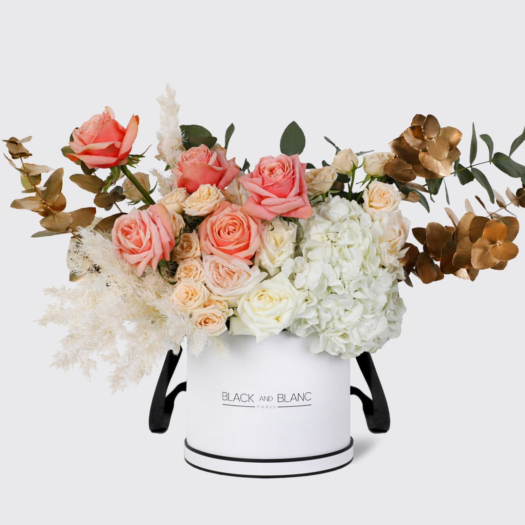 Peach Sorbet in Box - BLACK AND BLANC