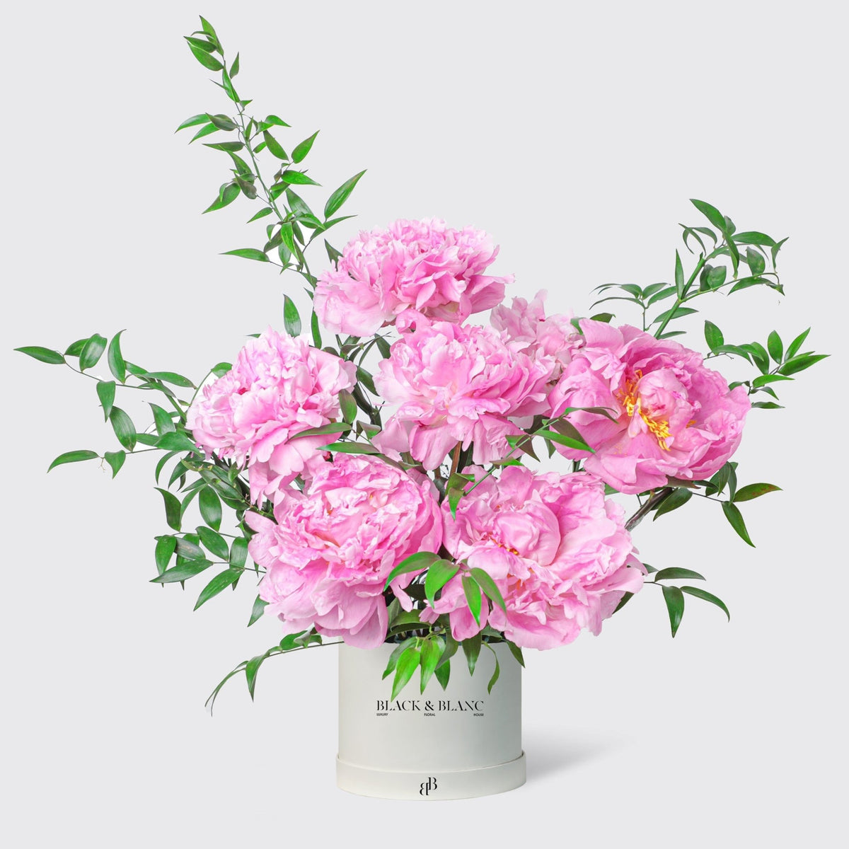Pink Charm Peonies in Box - BLACK AND BLANC