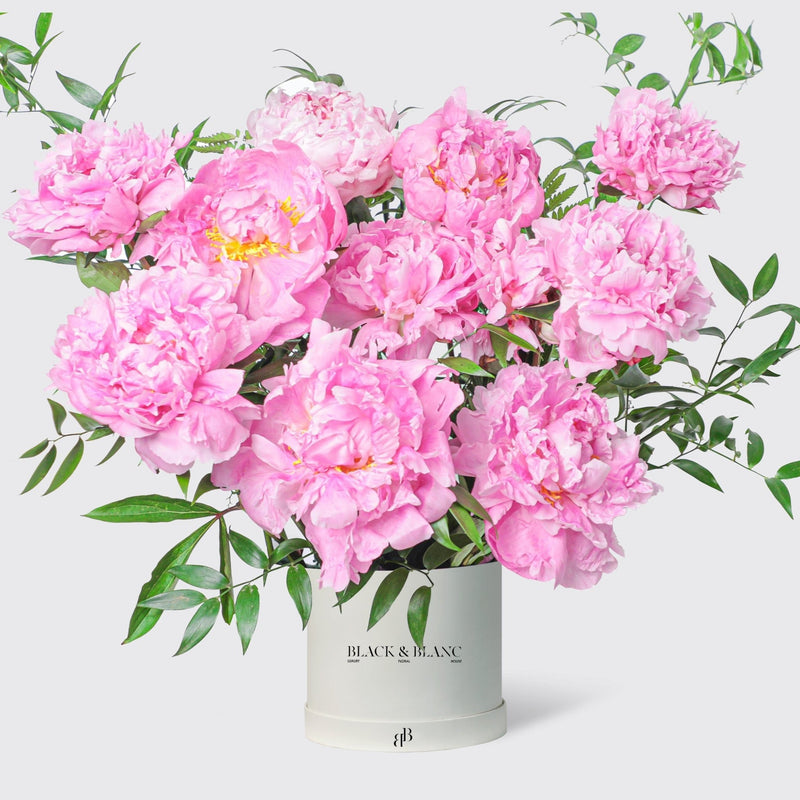Pink Charm Peonies in Box - BLACK AND BLANC