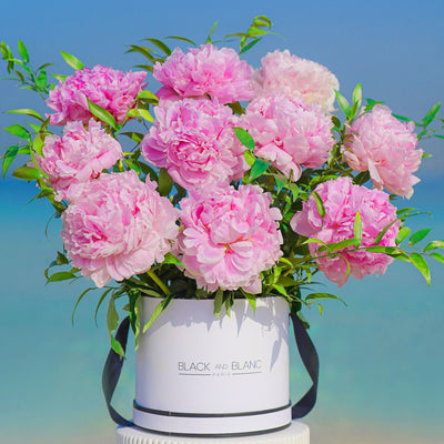 Pink Charm Peonies in Box