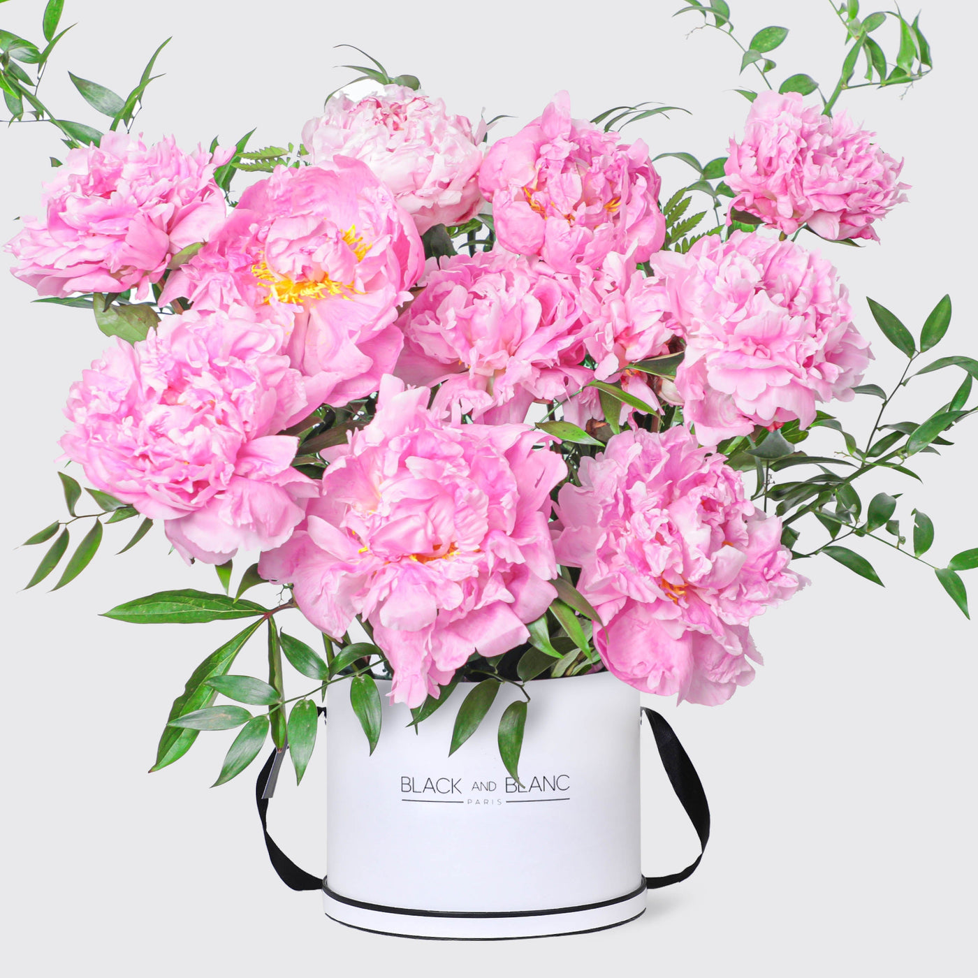 Pink Charm Peonies in Box - Le Grand / White