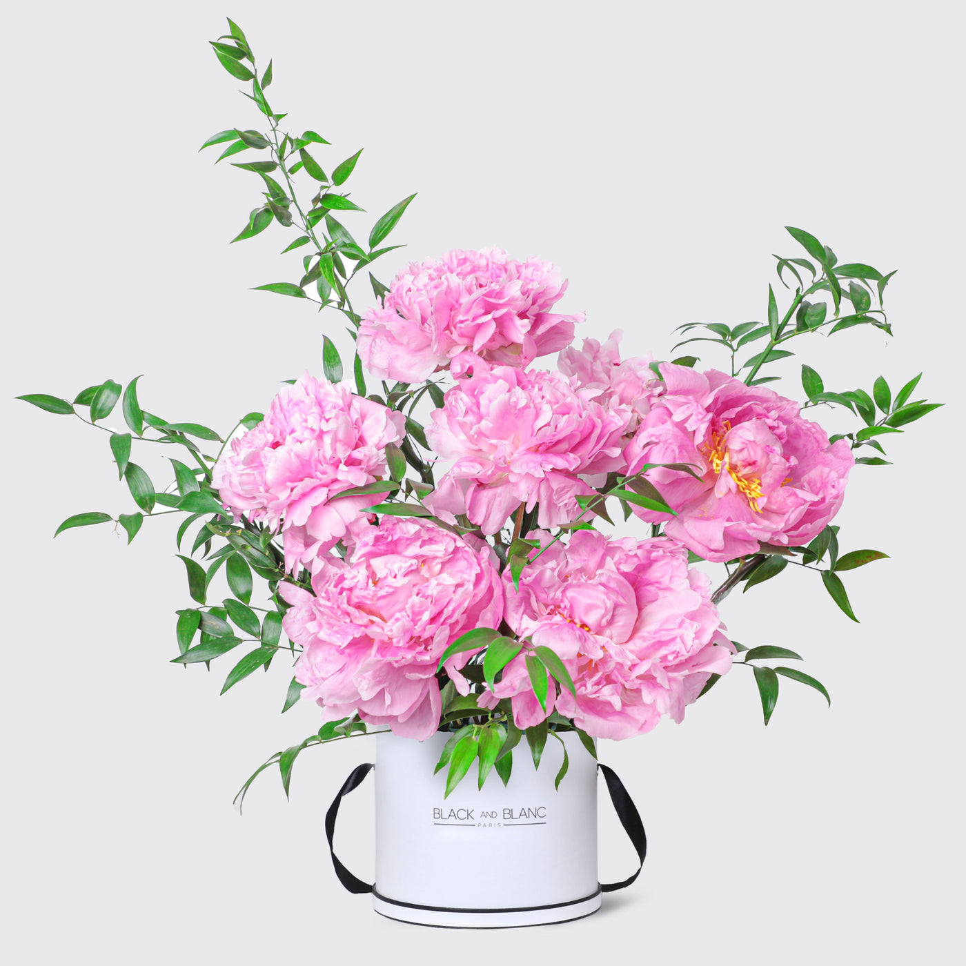 Pink Charm Peonies in Box - Le Medium / White