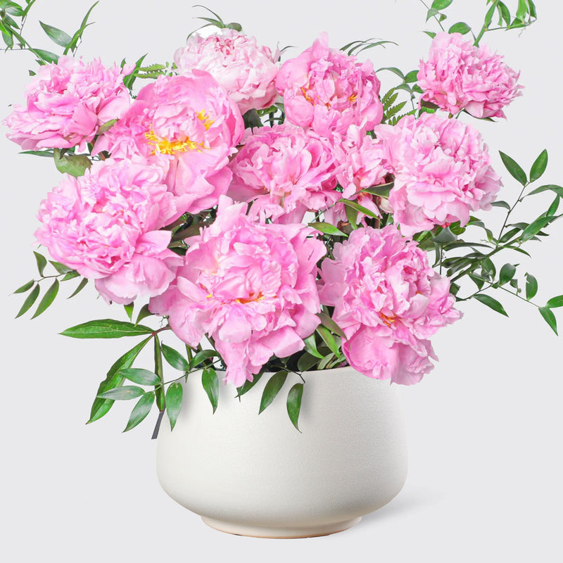 Pink Charm Peonies in Vase - BLACK AND BLANC