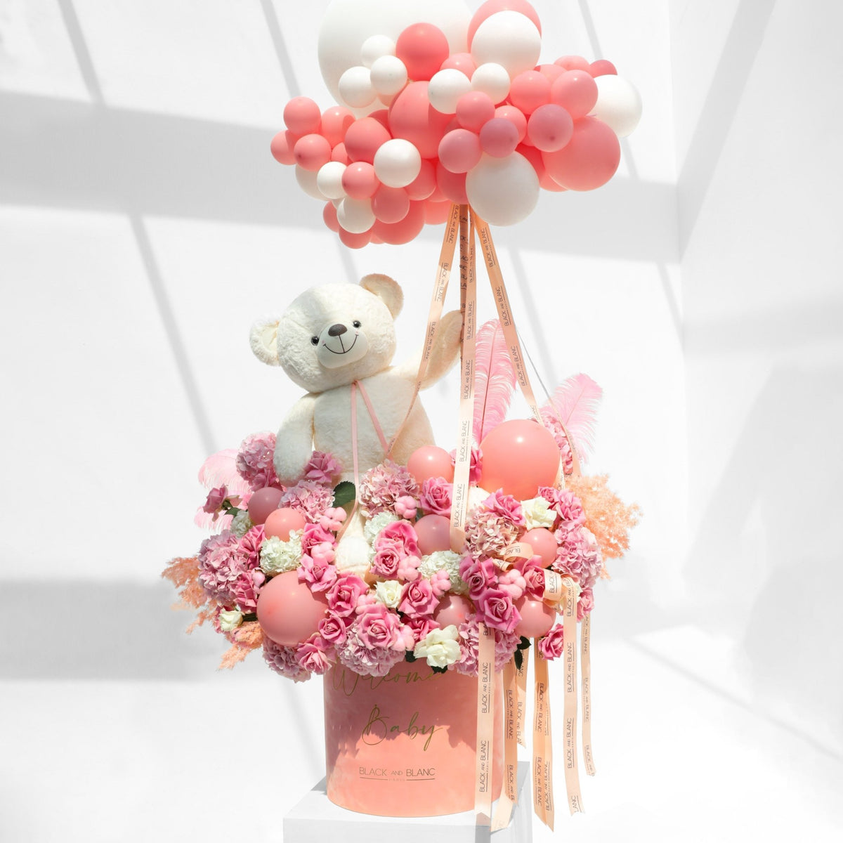 Pink Cuddle Bear in Opus Box - BLACK AND BLANC