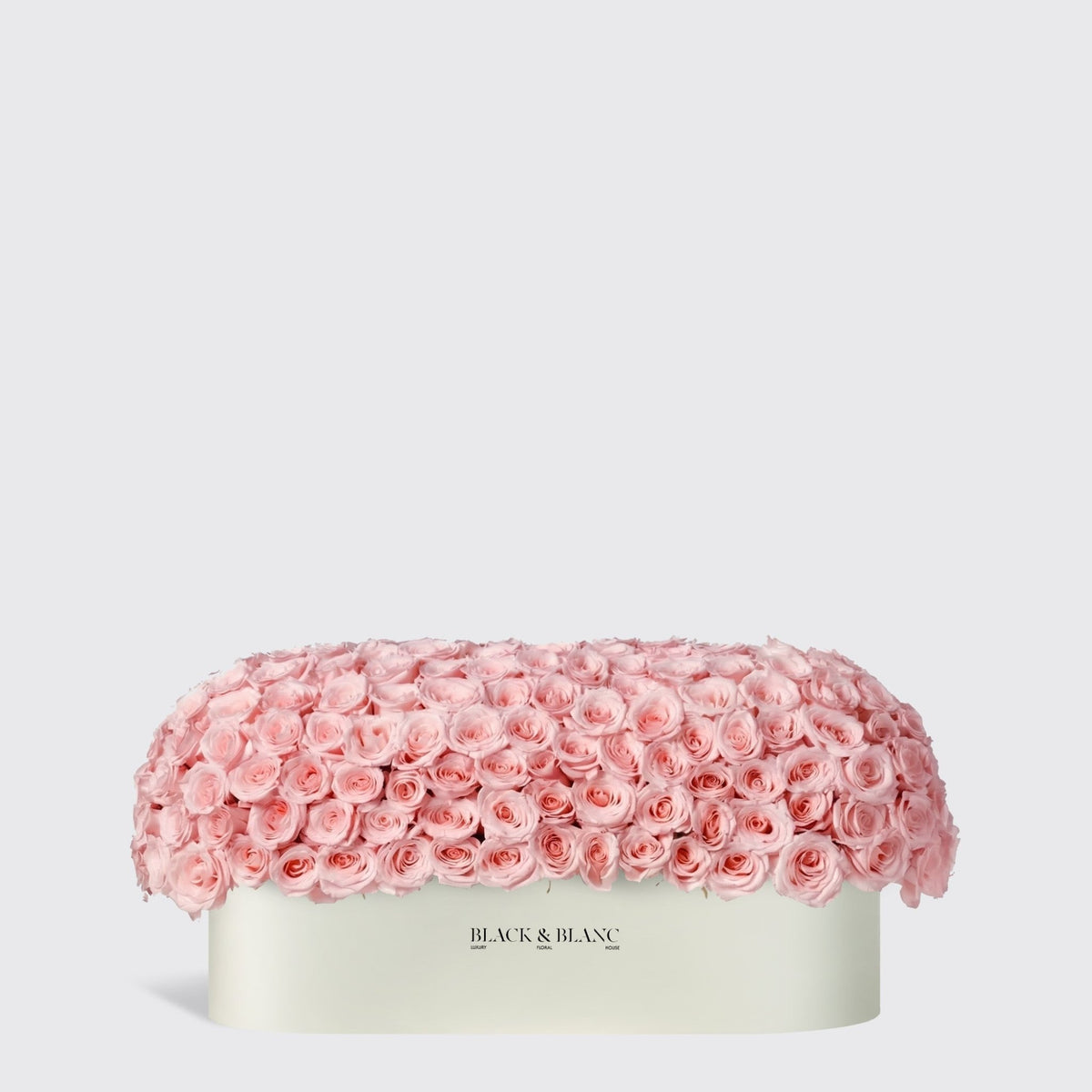 Pink Dome in 1 Meter Box - BLACK AND BLANC