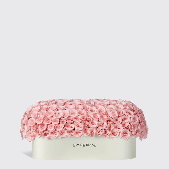 Pink Dome in 1 Meter Box - BLACK AND BLANC
