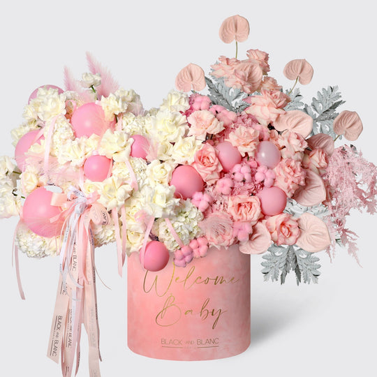 Pink Grace in Opus Box - BLACK AND BLANC