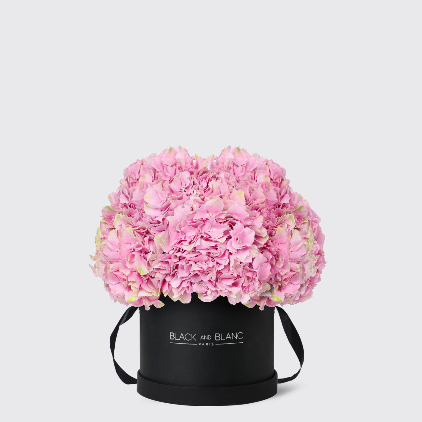 Pink Hydrangea in Box - Fresh Flowers - Le Grand / Black - Box