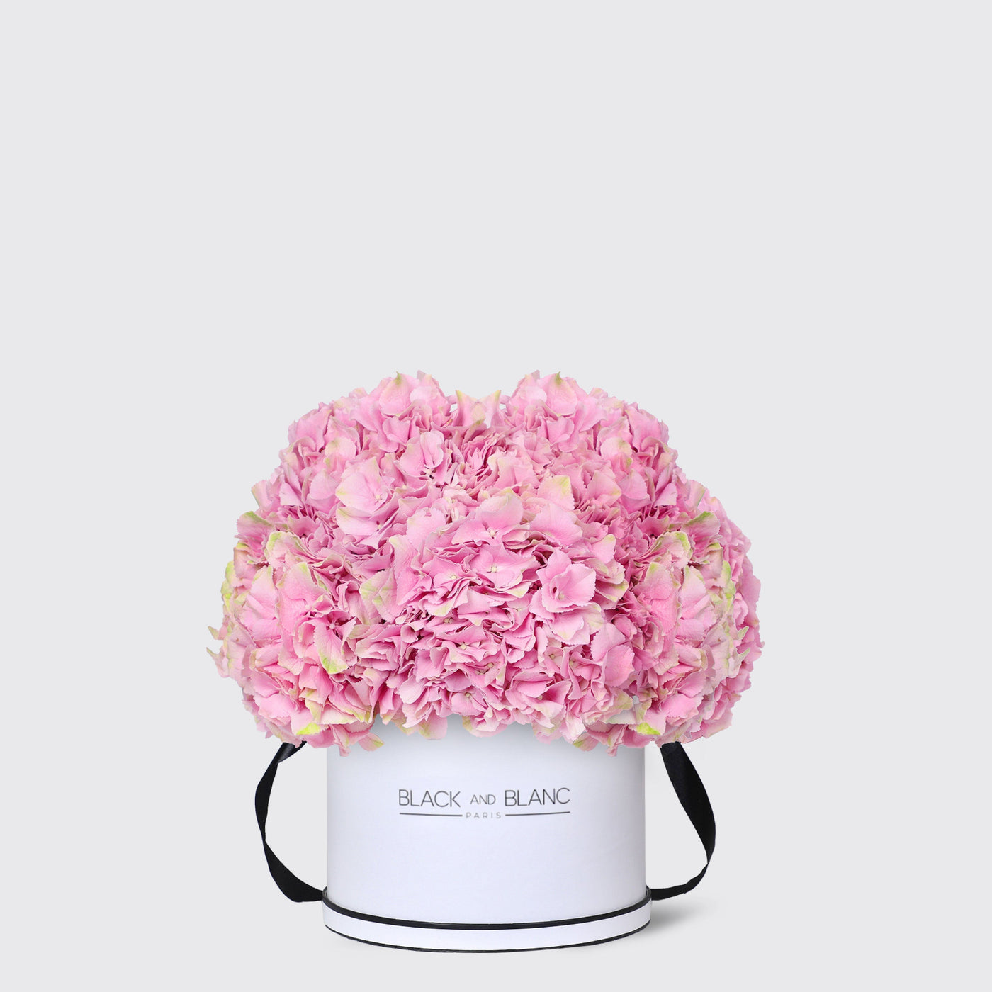 Pink Hydrangea in Box - Fresh Flowers - Le Grand / White - Box