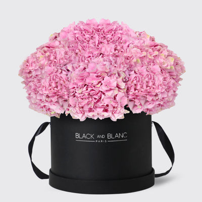 Pink Hydrangea in Box - Fresh Flowers - Le Luxi / Black - Box