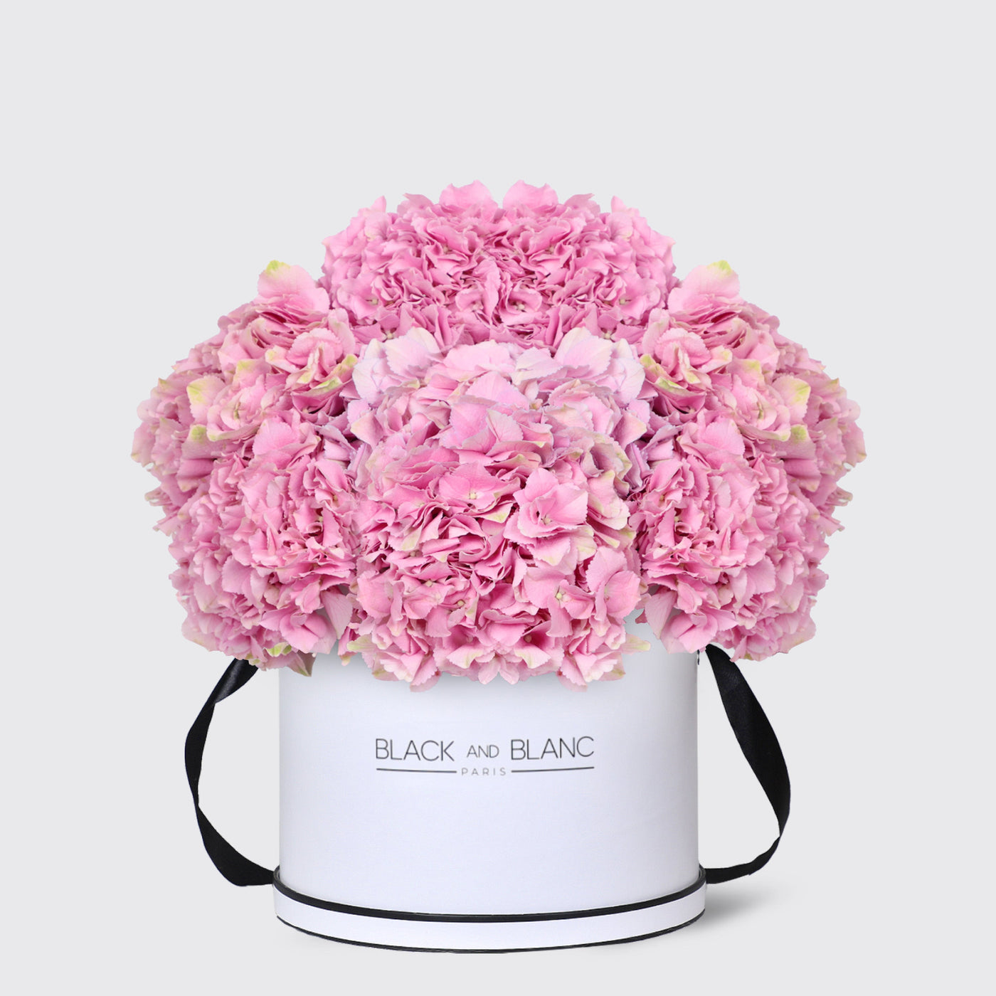 Pink Hydrangea in Box - Fresh Flowers - Le Maxi / White - Box