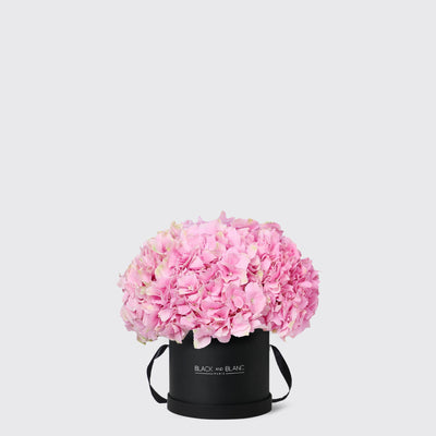 Pink Hydrangea in Box - Fresh Flowers - Le Medium / Black - Box