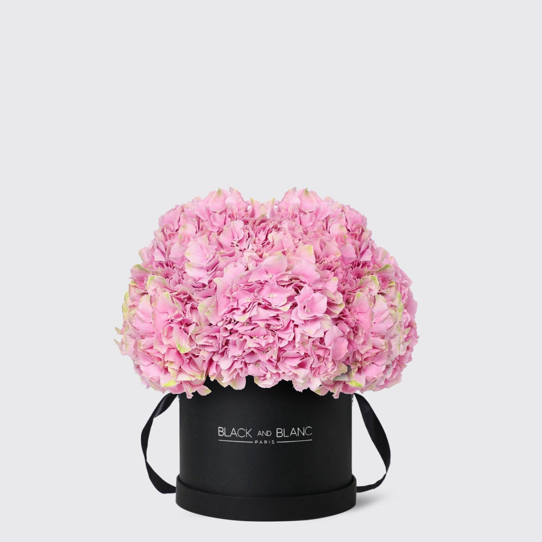 Pink Hydrangea in Box - BLACK AND BLANC