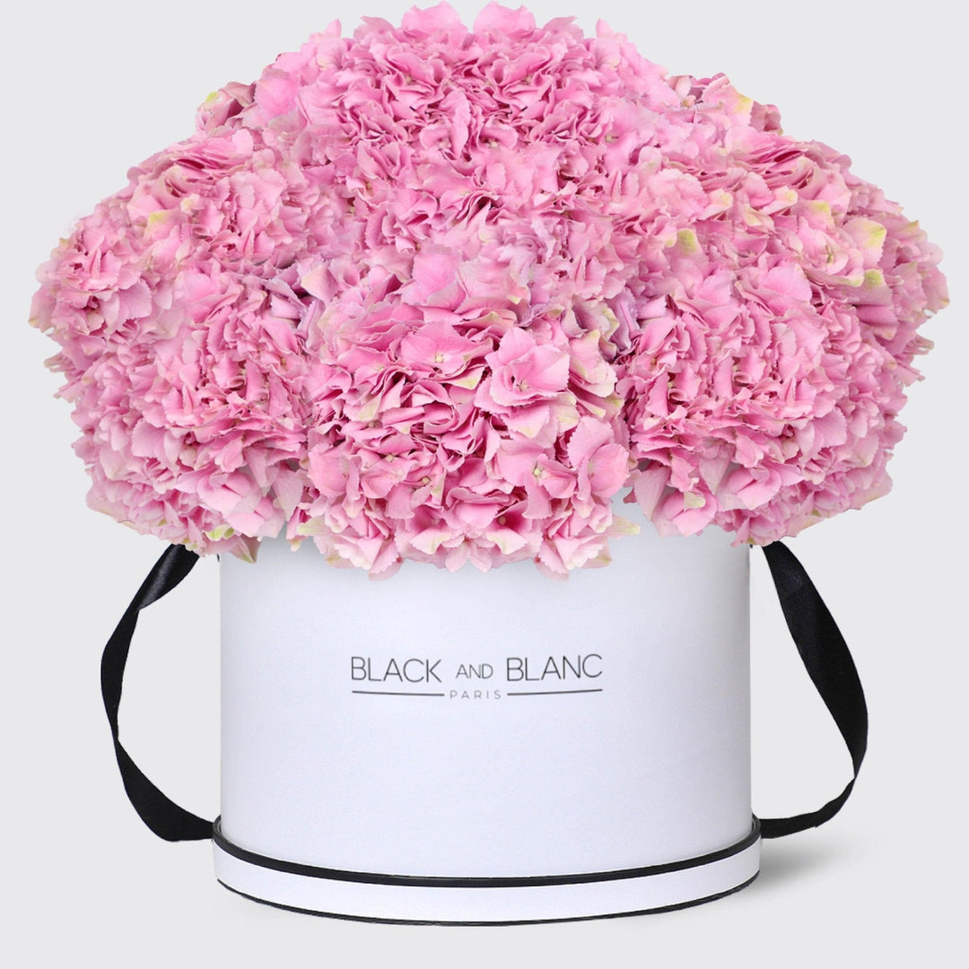 Pink Hydrangea in Box - BLACK AND BLANC
